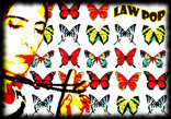 law_pop