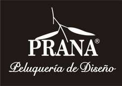 Prana peluquerias Los pelos de Law Pop se tratan en prana peluquerias